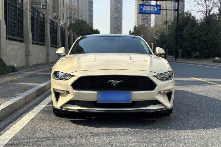 Used Ford Mustang 2019 2.3L EcoBoost
