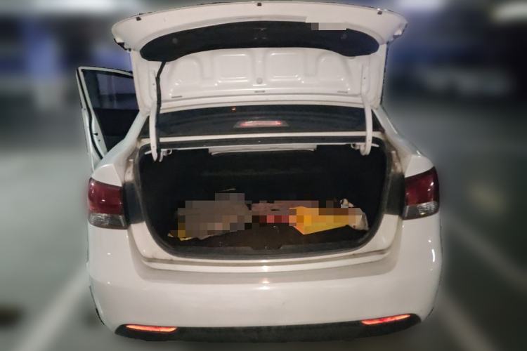 Used Kia Forte 2014 1.6L MT GL
