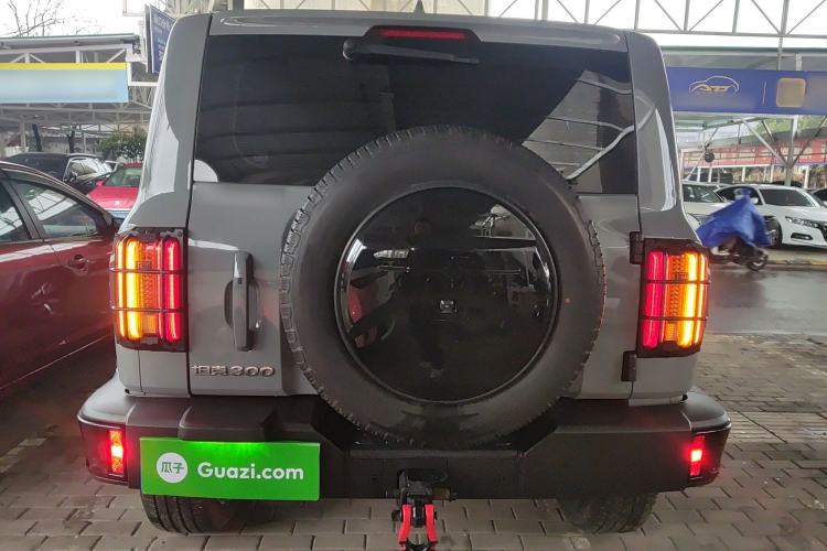 Used Tank 300 2024 2.0T Crosser