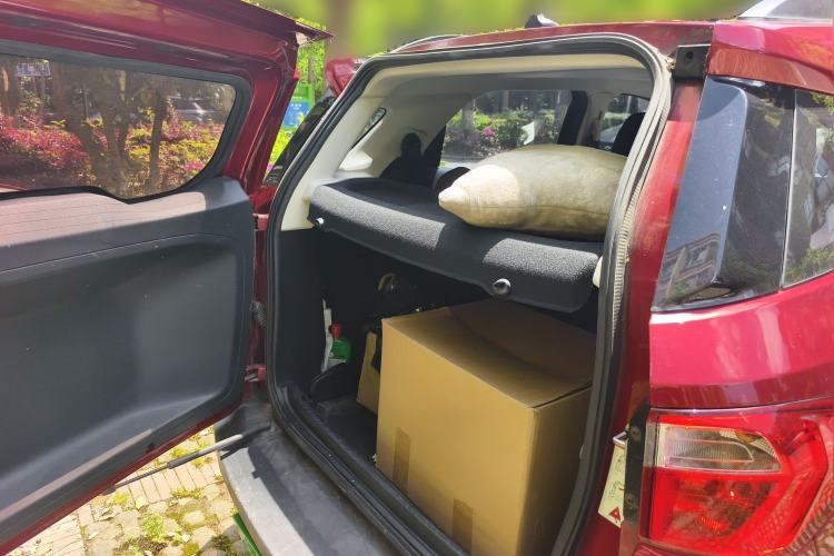 Used Ford EcoSport 2018 Revised 1.5L Automatic Platinum Wing Edition
