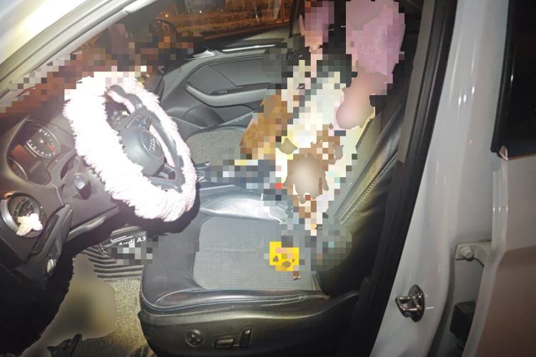 Used Audi A3 2018 30th Anniversary Edition Limousine 35 TFSI Fashion Model
