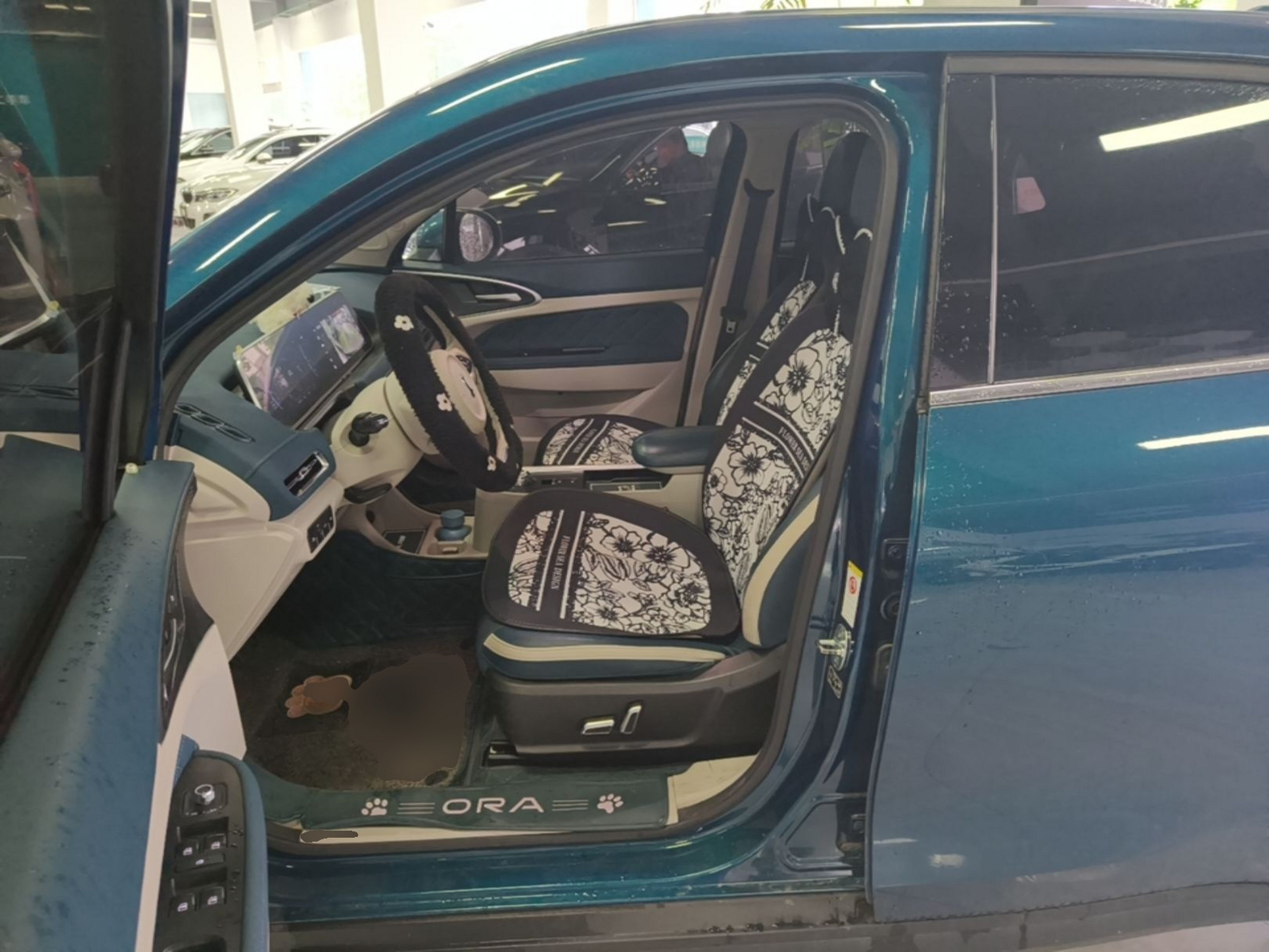Interior delantero