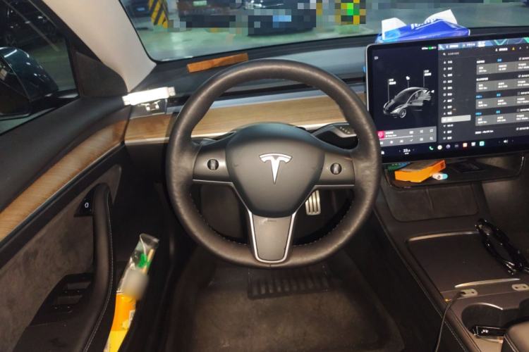 Used Tesla Model 3 2021 Performance High-Performance All-Wheel-Drive Version