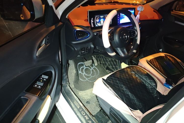 Used ORA White Cat 2020 305 km Luxury Version
