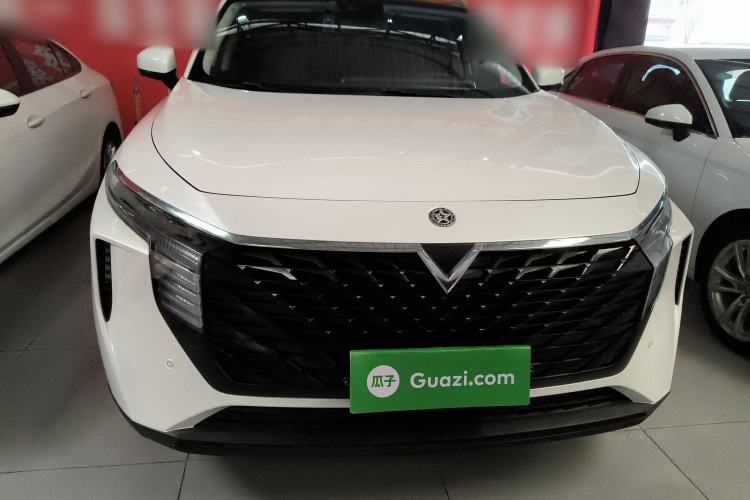 Used Venucia V 2021 260T Tianwang Edition
