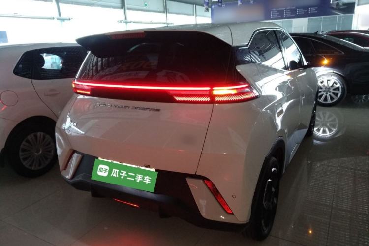 Used BYD Seagull 2023 Flying Edition Rear