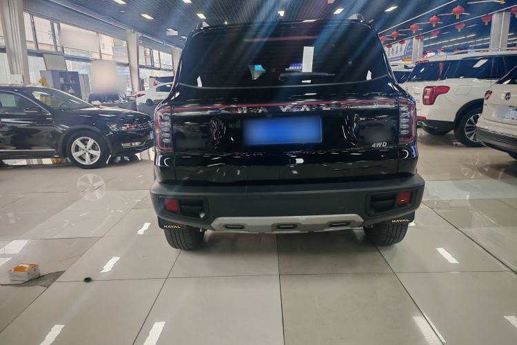Used Haval DARGO 2024 2.0T DCT Chinese Rural Dog Edition Exterior 3