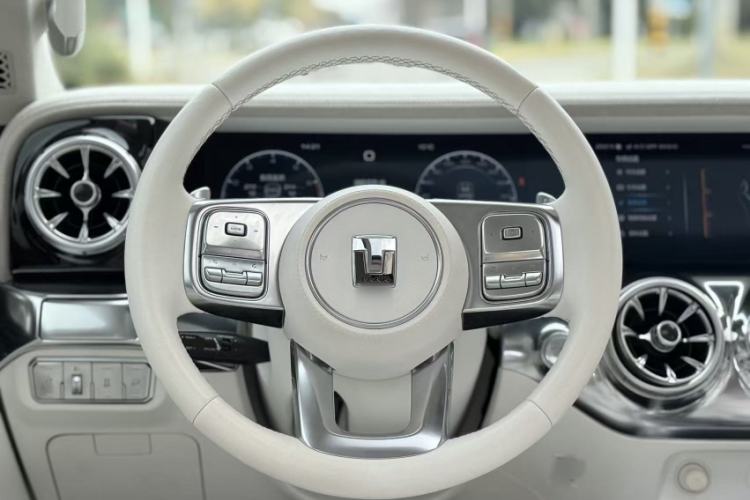 Used Cyberspace Tank 300 2021 2.0T Cyber Tank
