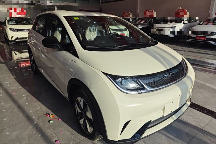 Used BYD Dolphin 2025 420km Free Edition
