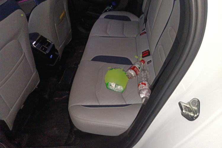 Used Geely Auto Preface 2023 2.0TD Prestige Version Left Rear Seat