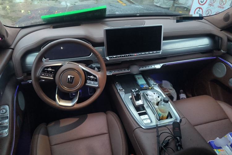 Used Tank 700 New Energy 2024 Hi4-T Extreme Edition Center Console