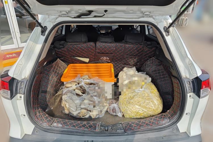 Used Toyota FRONTLANDER 2023 2.0L CVT Elite Edition