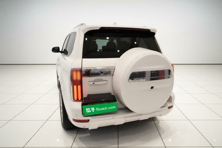 Used Tank 500 New Energy 2025 Hi4-Z Exterior 4