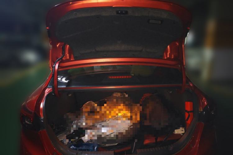 Used Mazda Mazda 3 Axela 2019 Cloud-Controlled Version Sedan 1.5L Automatic Luxury Trim China V Standard