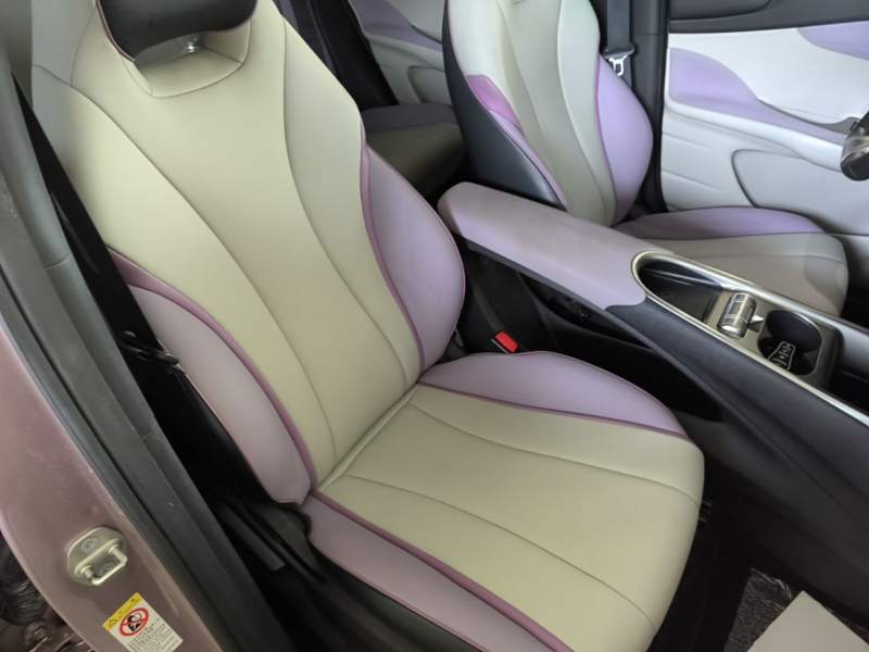 Used BYD Dolphin 2021 401km Knight Edition — 24