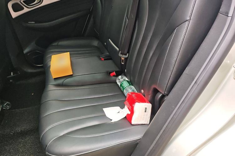 Used Roewe RX5 MAX 2019 300TGI Automatic 4G Connect Luxury Edition Left Rear Seat