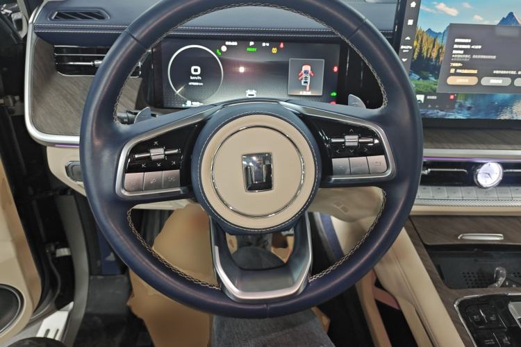 Used Tank 500 New Energy 2023 Hi4-T