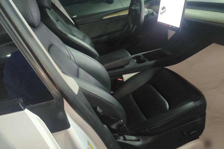 Used Tesla Model Y 2021 Long-Range All-Wheel-Drive Version