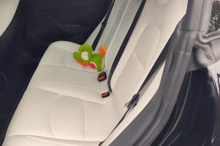 Used Tesla Model 3 2022 Performance High-Performance All-Wheel-Drive Version