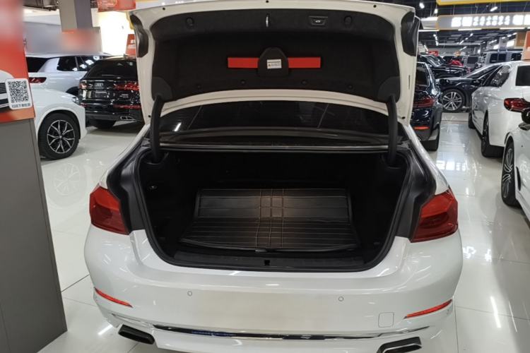 Used BMW 5 Series New Energy 2019 530Le Luxury Package