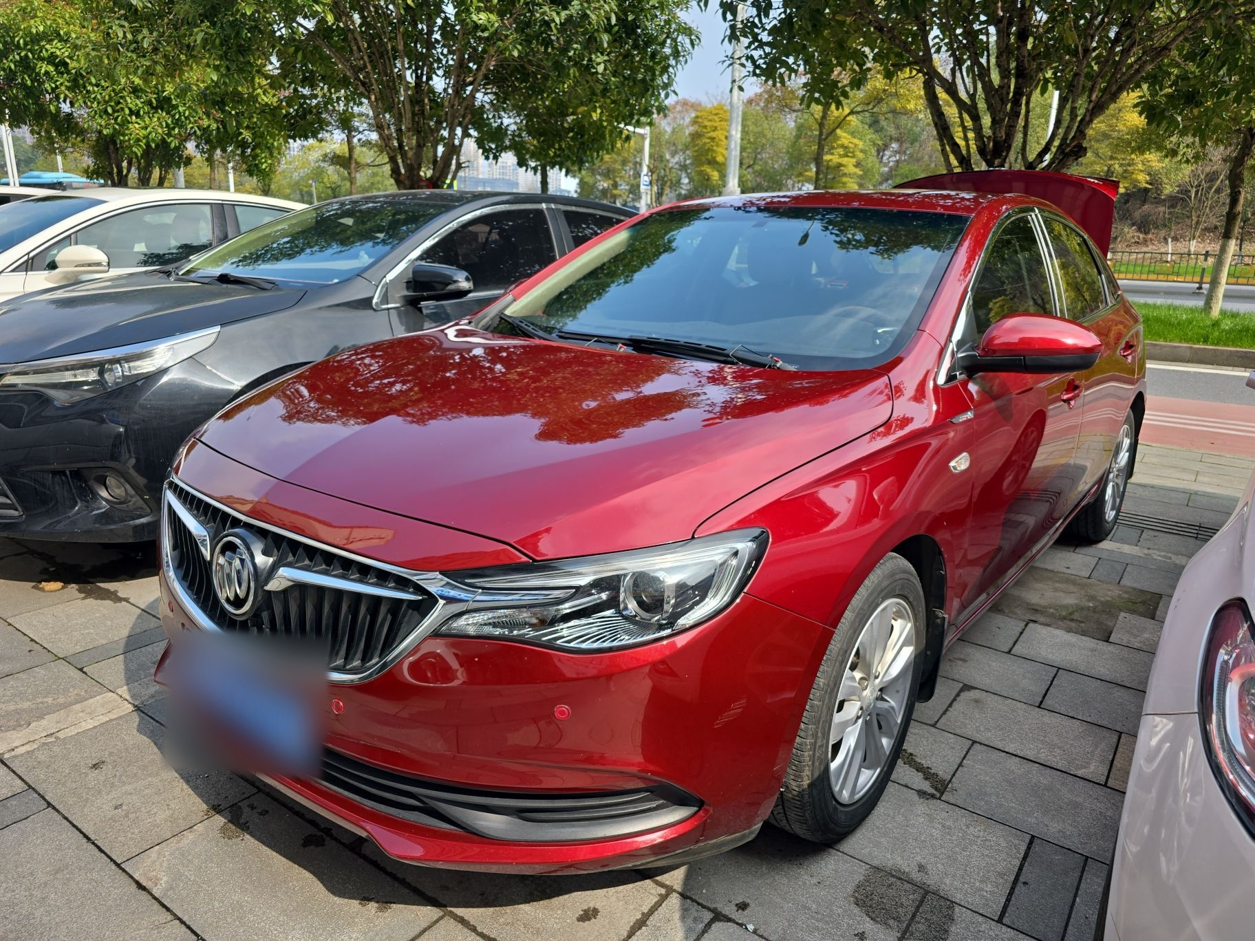 Parte inferior delantera