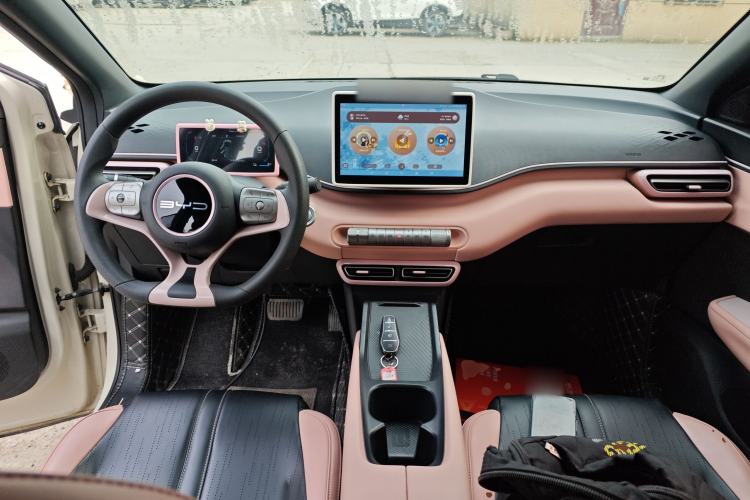 Used BYD Seagull 2023 Active Version
