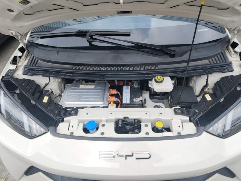 Used BYD Seagull 2023 Free Edition — 19