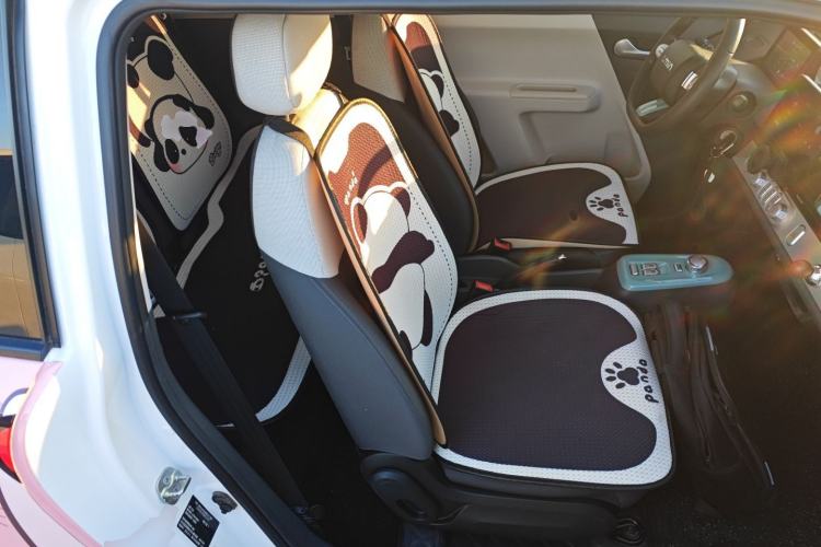 Used Qiyuan Lumin 2023 205km Xiangqin Version
