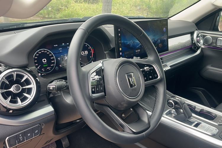 Used Tank 400 2025 2.0T Gasoline Version
