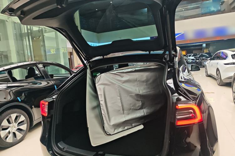 Used Tesla Model Y 2021 Standard Range Rear-Wheel Drive Version