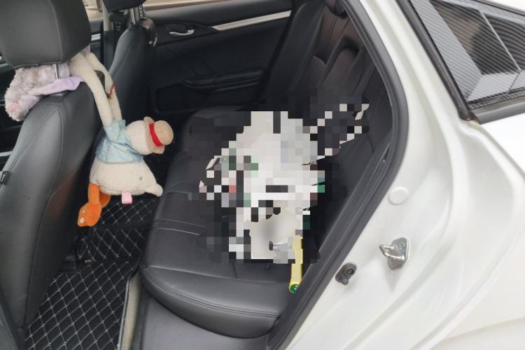 Used Honda Civic 2019 220TURBO CVT Dynamic Edition China VI