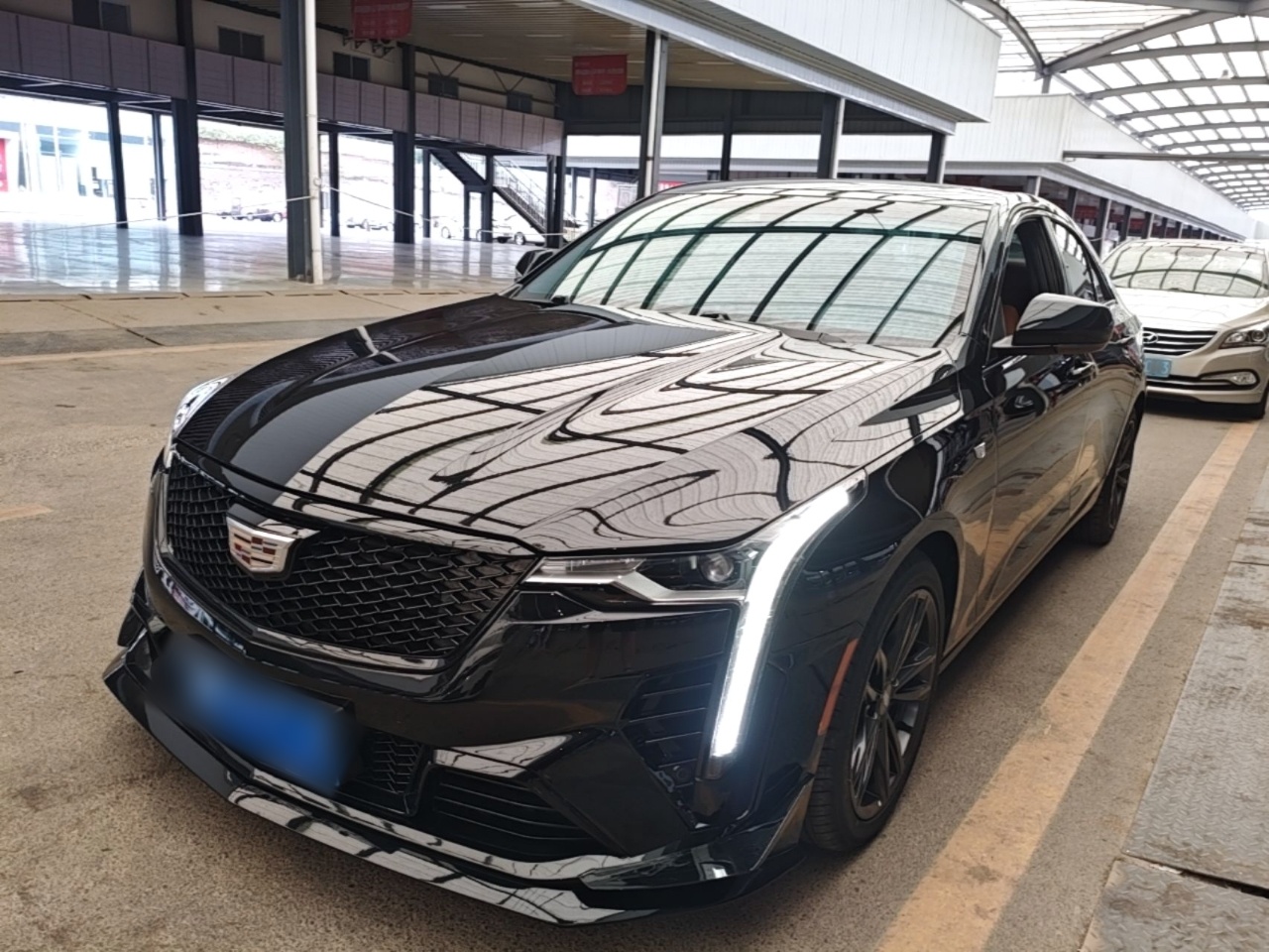 Under Front Bumper