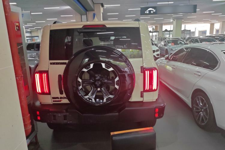 Used Tank 300 New Energy 2025 Hi4-T
