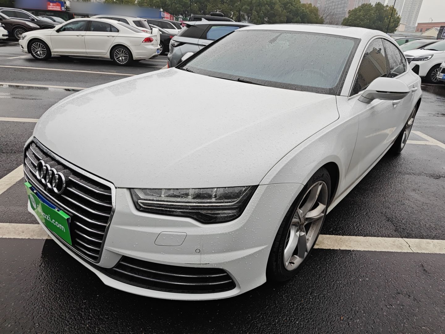 Parte inferior delantera