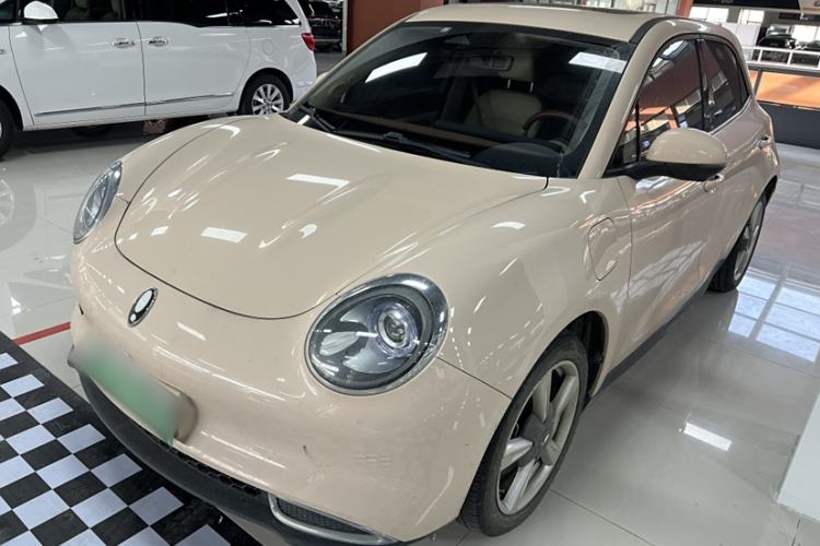 Used ORA Good Cat 2021 400km Standard Range Venus Edition Lithium-Ion Battery