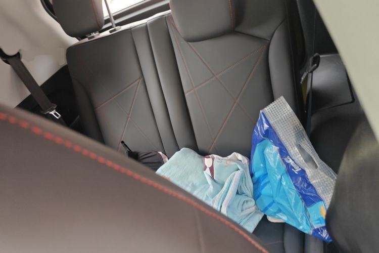 Used Chery Little Ant 2024 Revised Version Youth Edition 251 km True Love Edition 25.05 kWh Left Rear Seat