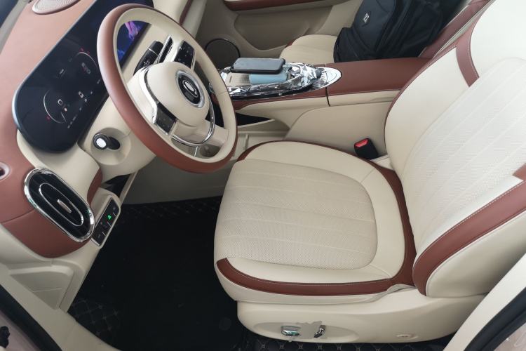 Used ORA Ballet Cat 2023 401 km Luxury Version Left Front Seat