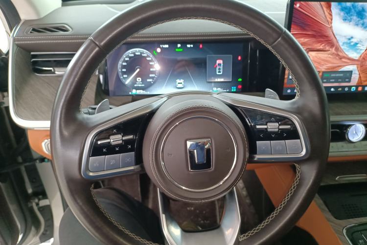 Used Tank 500 New Energy 2024 Hi4-T Steering Wheel