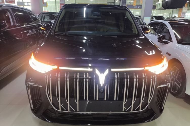 Used VOYAH Dream 2024 PHEV Ultra-Long Range Flagship Edition
