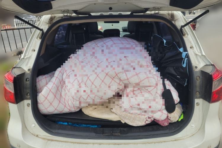 Used Suzuki S-Cross 2014 1.6L CVT Two-Wheel Drive Elite Version Trunk