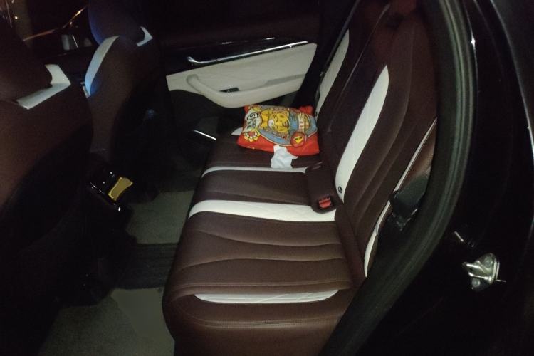 Used Geely Auto Monjaro L 2021 2.0TD DCT EVO Two-Wheel Drive Prestige Version Left Rear Seat