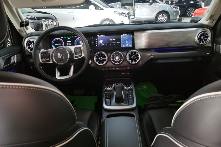 Used Tank 300 2024 2.0T Conqueror