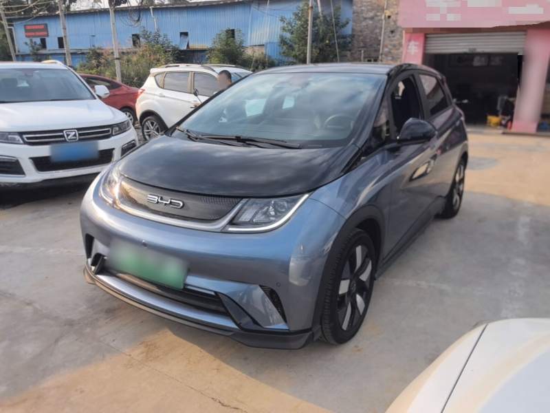 Used BYD Dolphin 2023 401km Knight Edition — 1