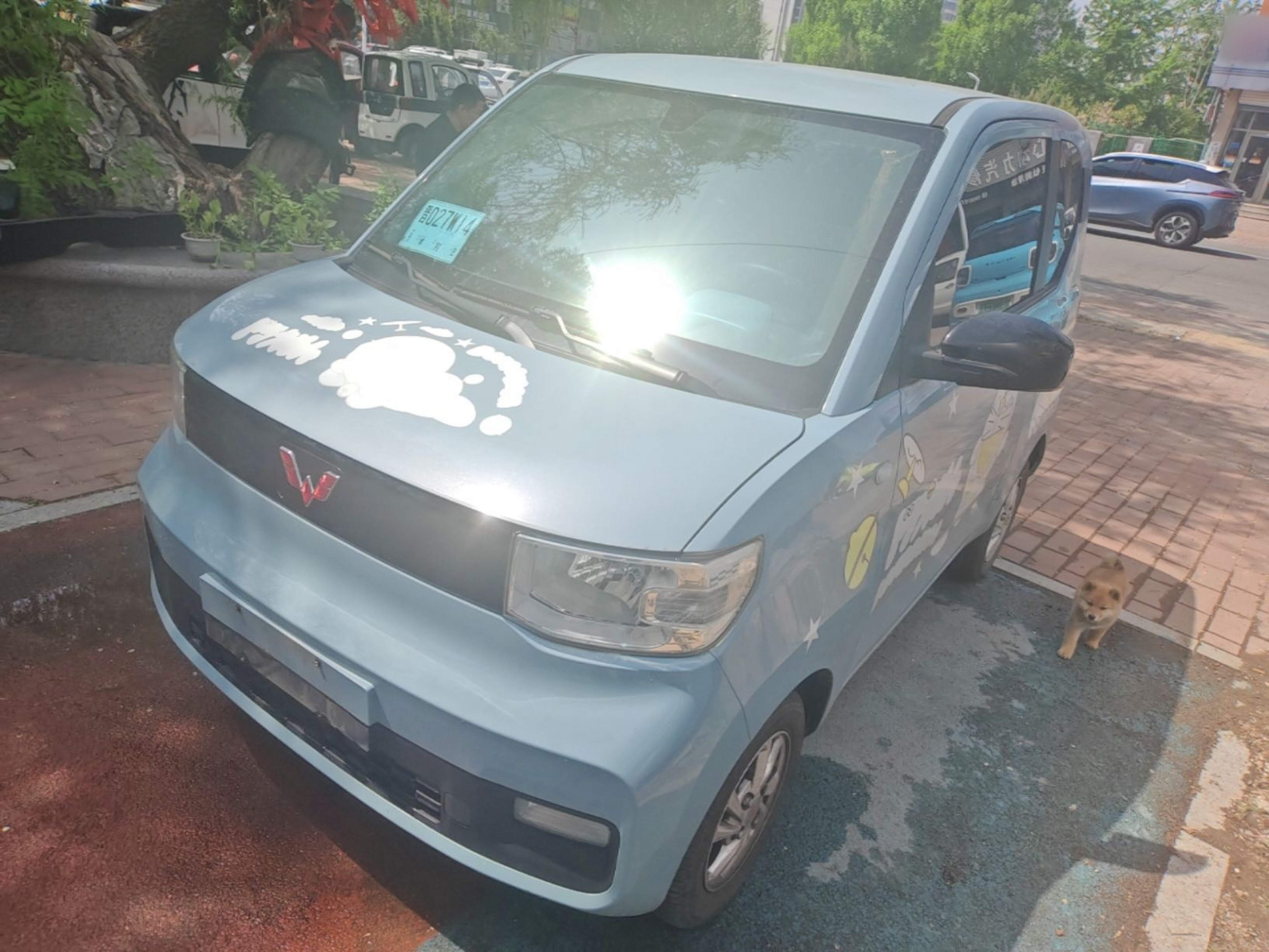 تحت مقدمة السيارة