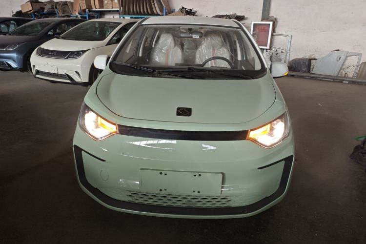 Used SOL E10X 2022 Flower Fairy Design Four-Leaf Clover
