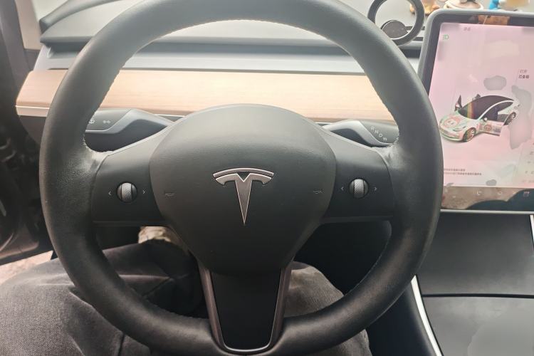 Used Tesla Model 3 2020 Revised Version Standard Range Rear-Wheel Drive – Upgraded Edition