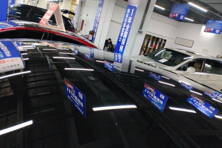 Used Tesla Model Y 2021 Standard Range Rear-Wheel Drive Version Roof