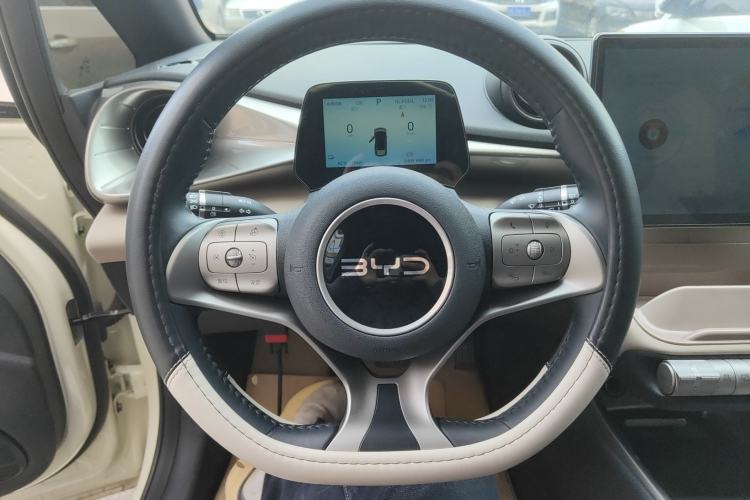 Used BYD Dolphin 2025 420km Free Edition