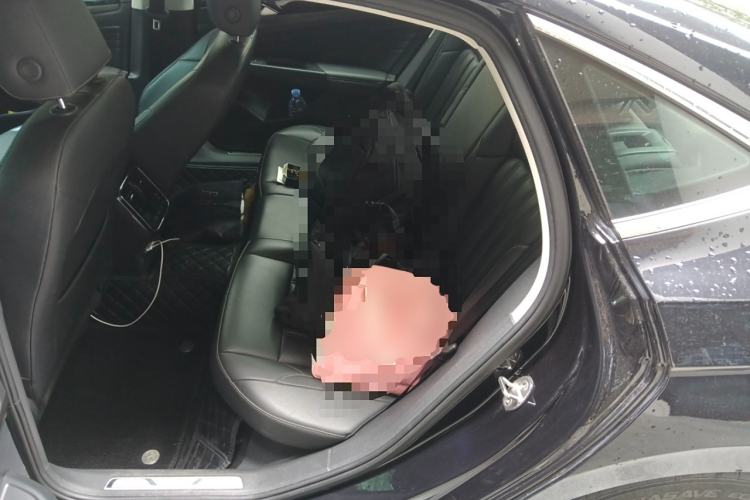 Used Volkswagen Passat New Energy 2019 430 PHEV Hybrid Elite Edition Left Rear Seat