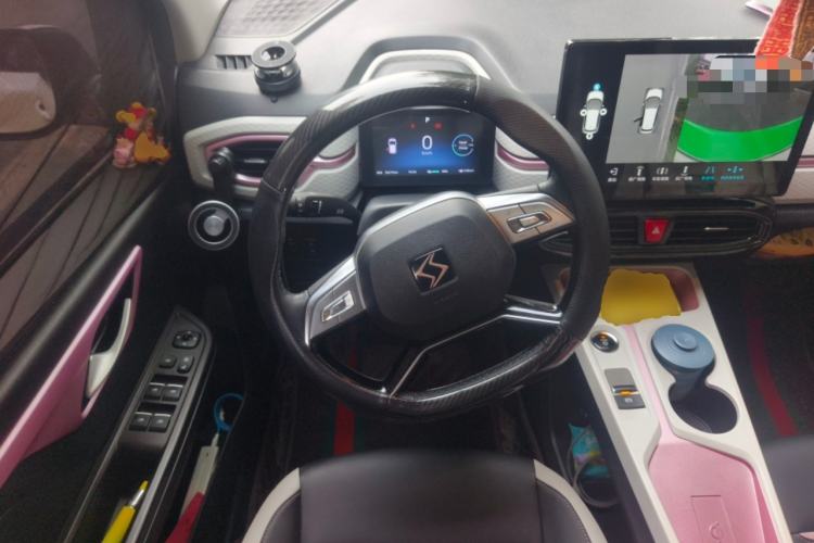 Used SOL E10X 2022 Flower Fairy Design Sunflower Steering Wheel